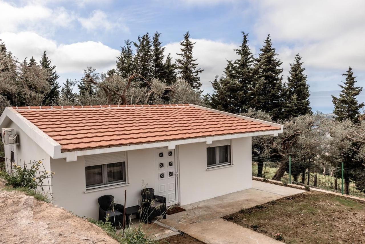 Olive Grove Apartment Bar Exterior photo